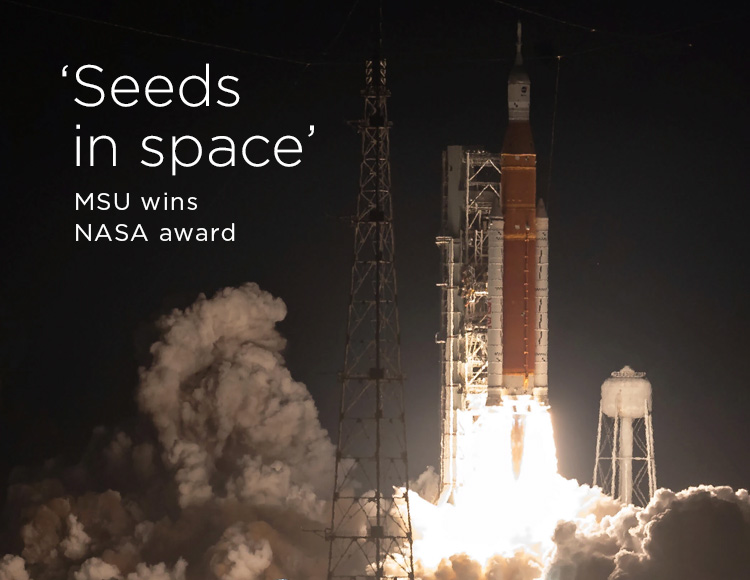 ‘Seeds in space’: MSU wins NASA award 