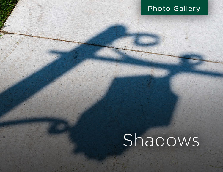 Shadows