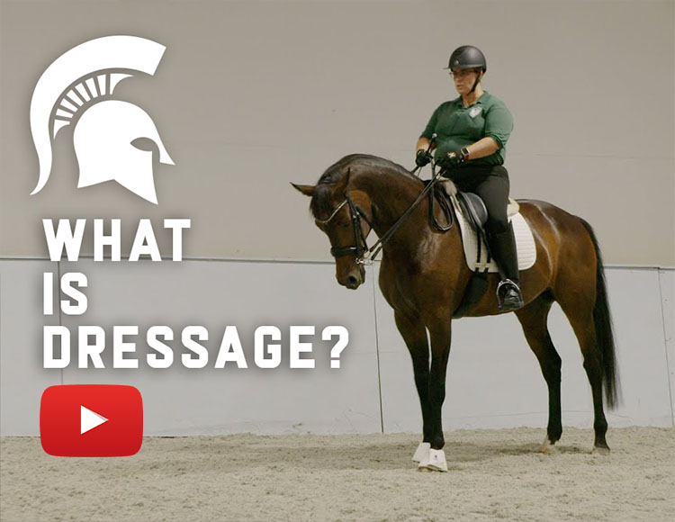What is dressage?