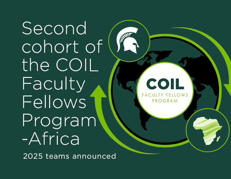 Second cohort of the COIL Faculty Fellows Program-Africa: 2025 teams announced