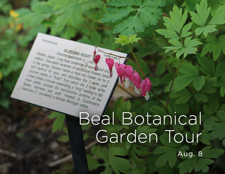 Beal Botanical Garden Tour: Aug. 8