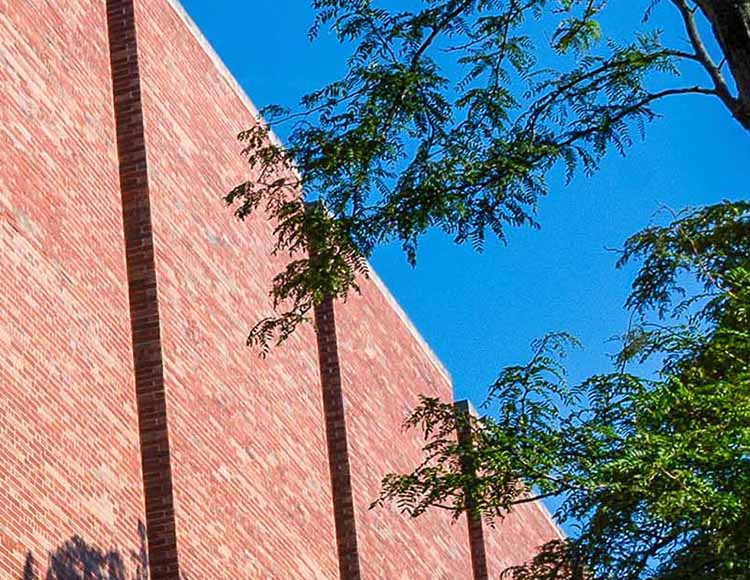 A red and tan brick building with a tree in the foreground and the sky in the background.