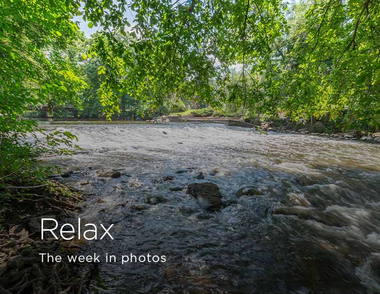Relax: The week in photos