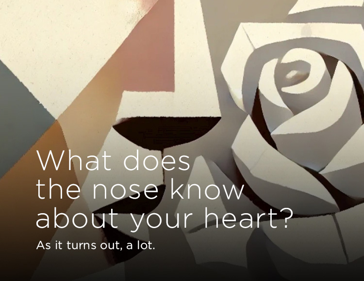 What does the nose know about your heart? As it turns out, a lot.