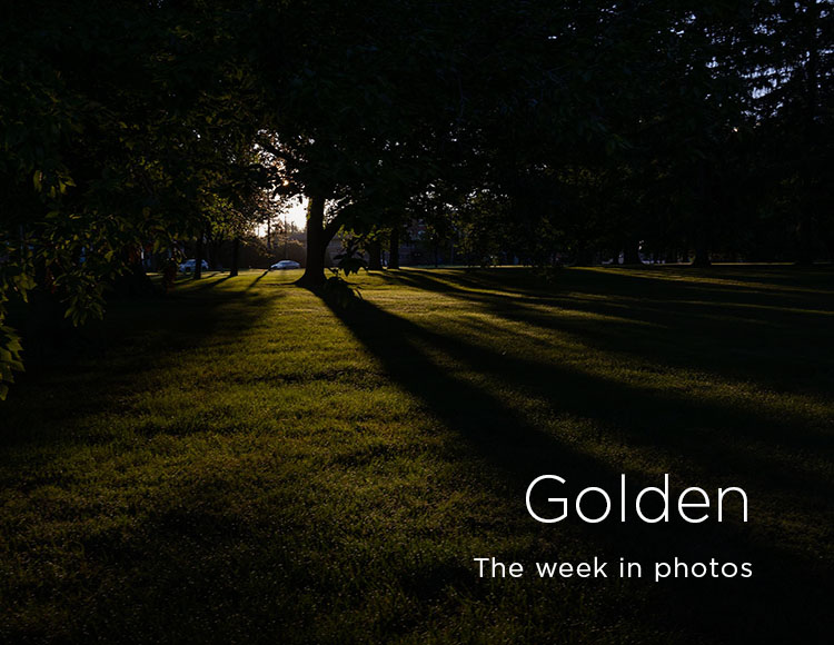 Golden: The week in photos