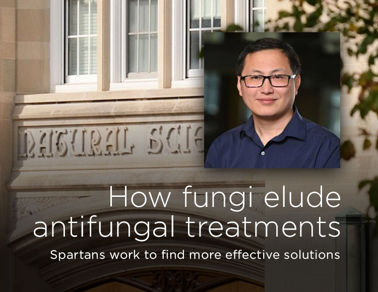 How fungi elude antifungal treatments: Spartans work to find more effective solutions