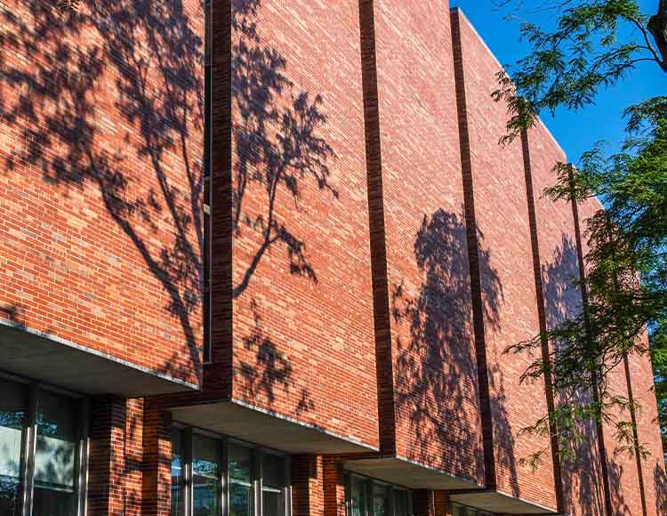 A red and tan brick building with a tree in the foreground and the sky in the background.