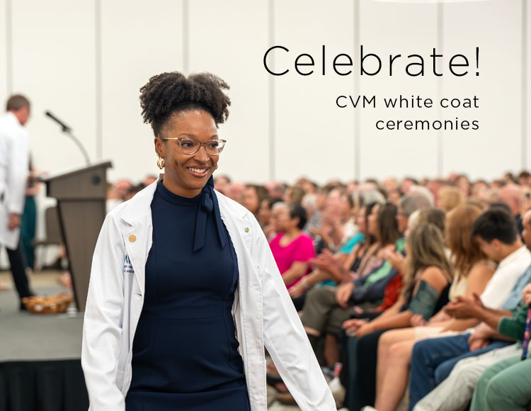 Celebrate! CVM white coat ceremonies