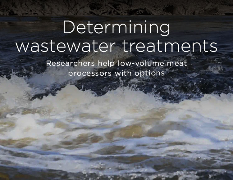 Determining wastewater treatments: Researchers help low-volume meat processors with options