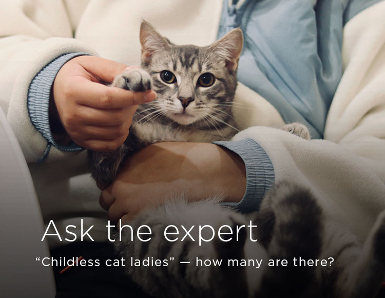 Ask the expert: “Childless cat ladies” – how many are there?