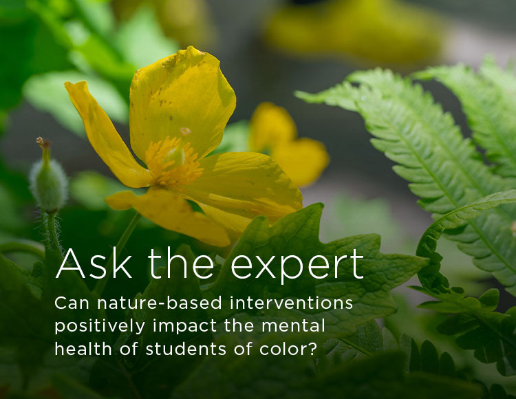 Ask the expert: Can nature-based interventions positively impact the mental health of students of color?