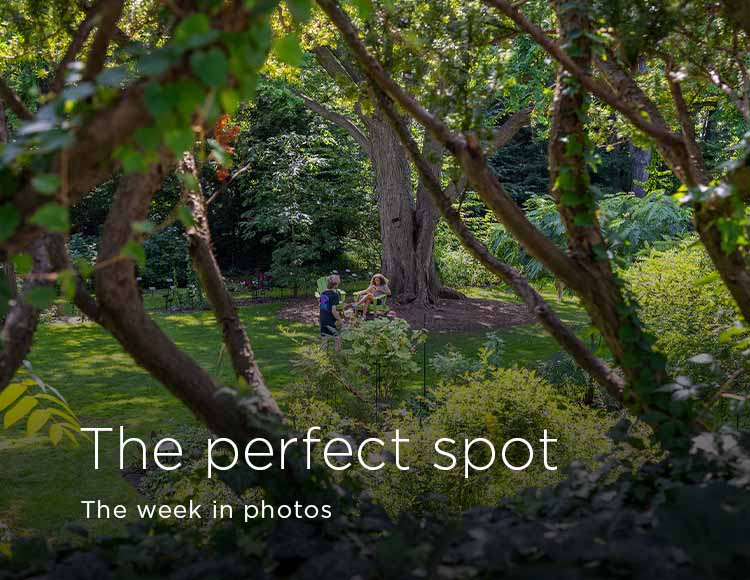 The perfect spot: The week in photo