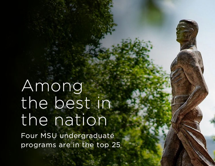 Among the best in the nation: Four MSU undergraduate programs are in the top 25