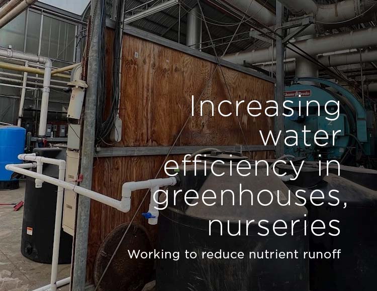 Increasing water efficiency in greenhouses, nurseries: Working to reduce nutrient runoff