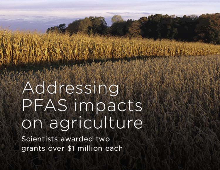 Addressing PFAS impacts on agriculture: Scientists awarded two grants over $1 million each