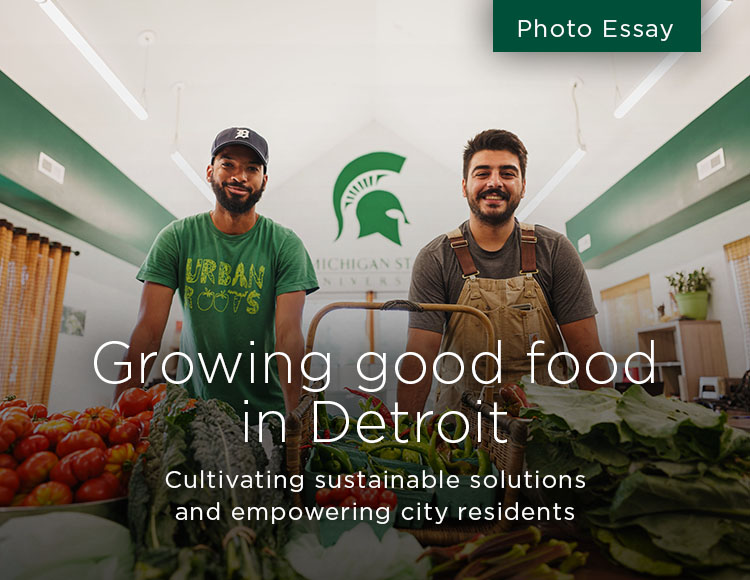 Growing good food in Detroit: Cultivating sustainable solutions and empowering city residents