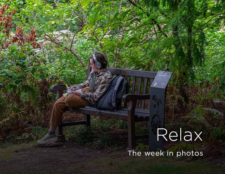 Relax: The week in photos