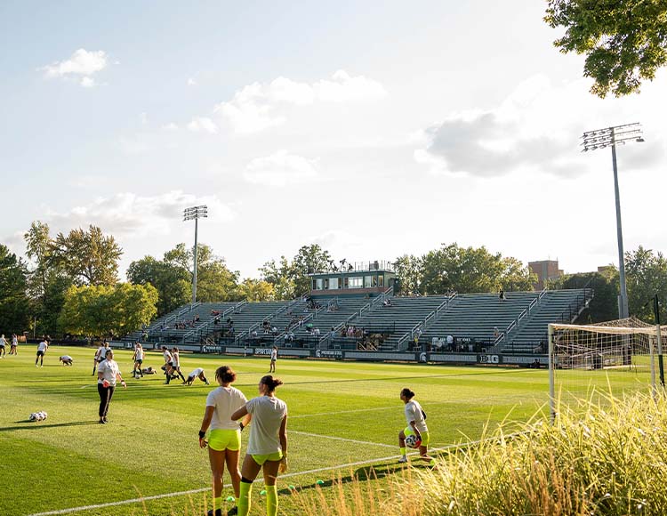 Trees, bleachers and a press box.