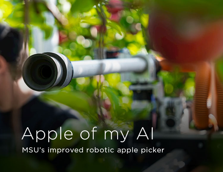 Apple of my AI: MSU’s improved robotic apple picker