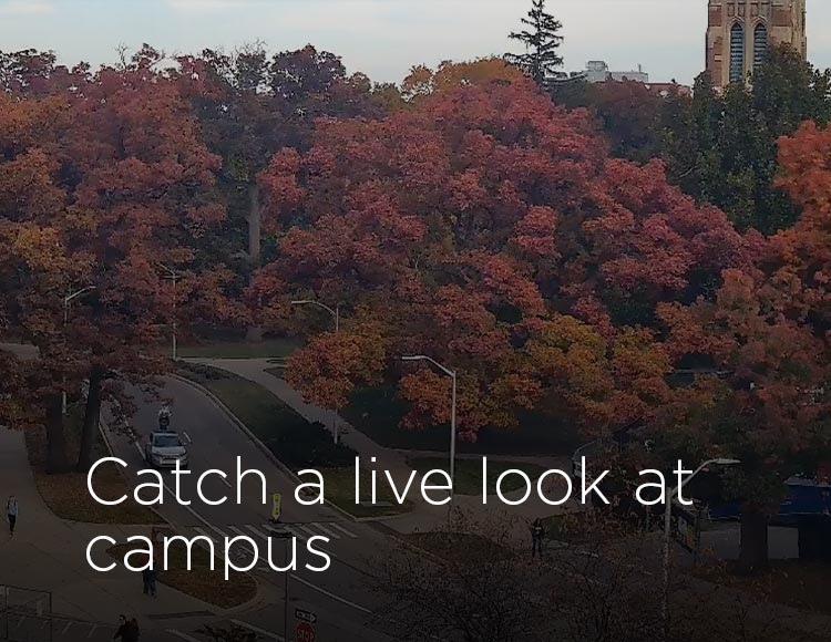 Catch a live look of campus