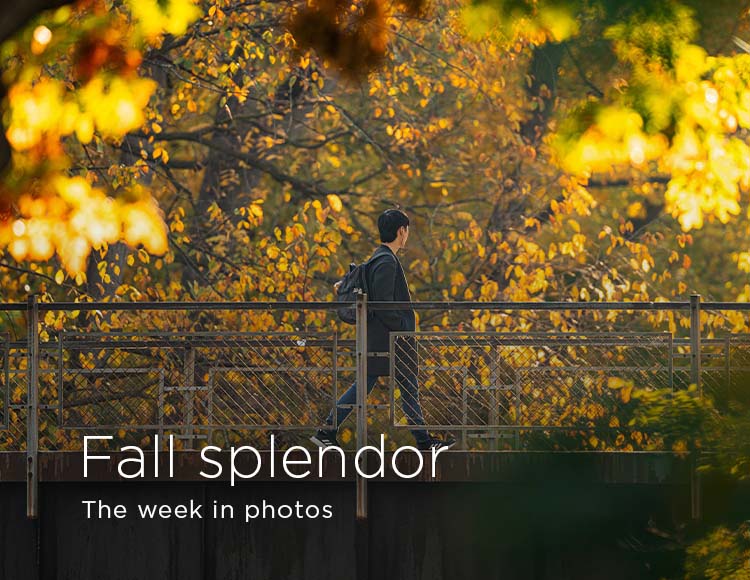 Fall splendor: The week in photos 