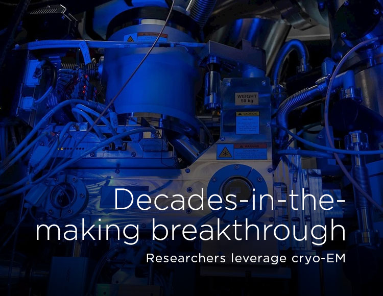 Decades-in-the-making breakthrough: Researchers leverage cryo-EM