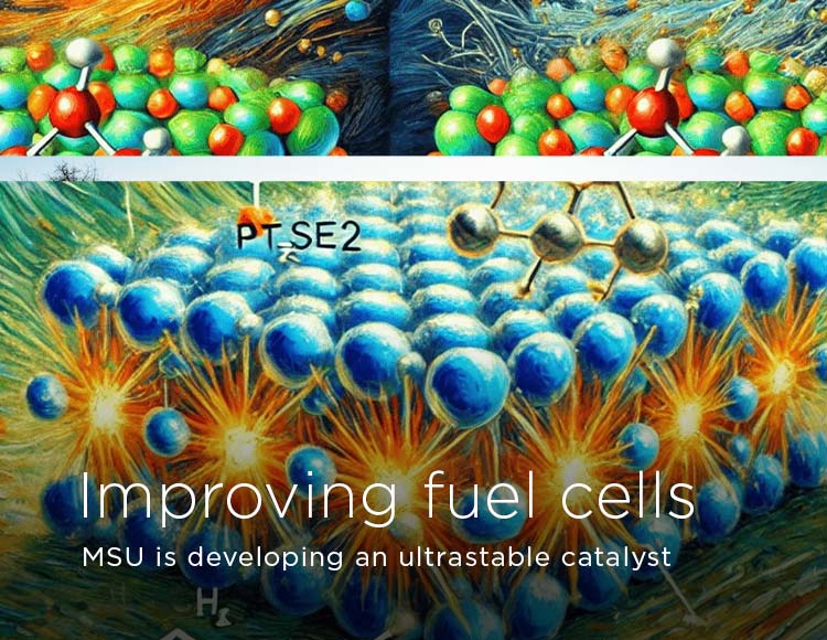 Improving fuel cells: MSU is developing an ultrastable catalyst