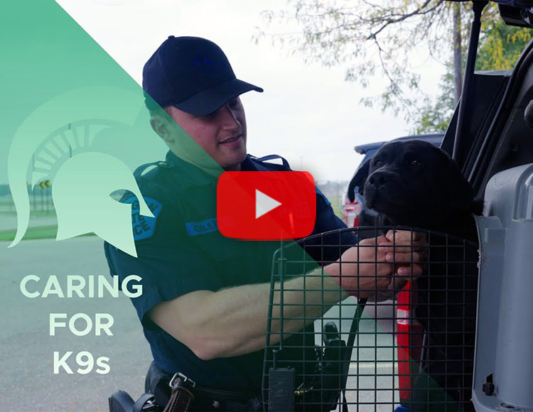 A police officer with a dog that is in a car. The text says: Caring for K9s with a red and white play button.