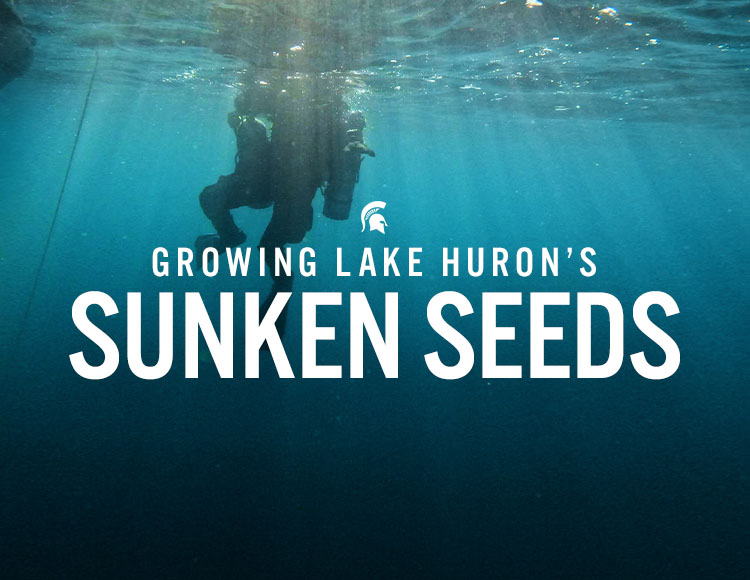 Growing Lake Huron’s sunken seeds