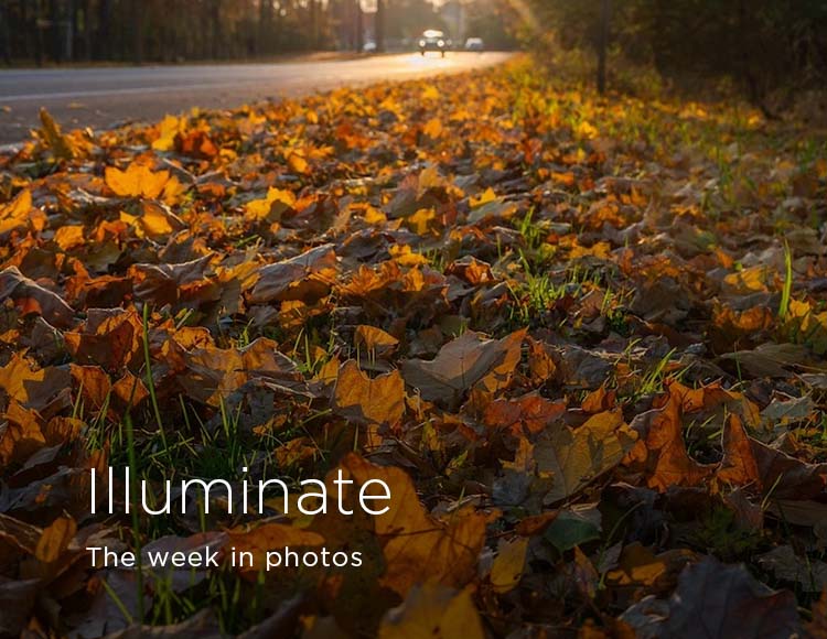 Illuminate: The week in photos