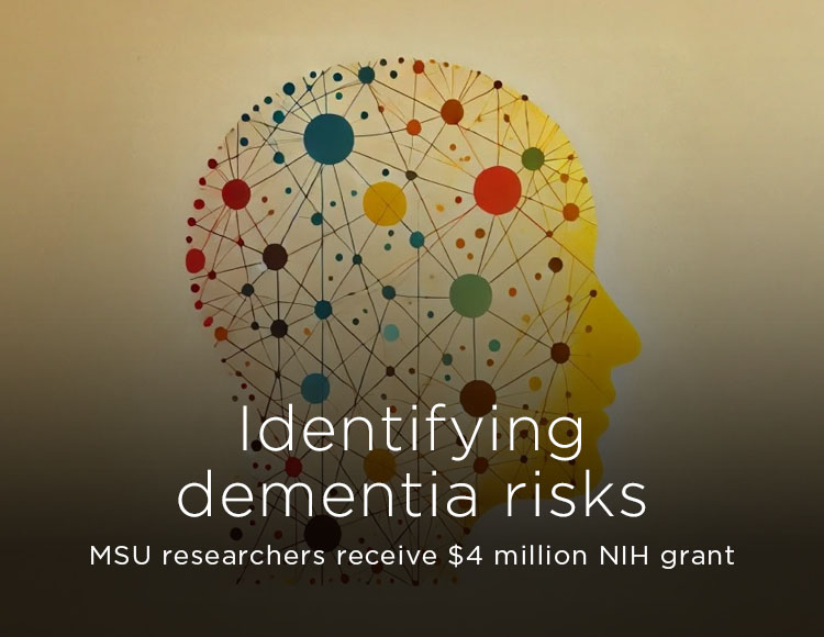 Identifying dementia risks: MSU researchers receive $4 million NIH grant