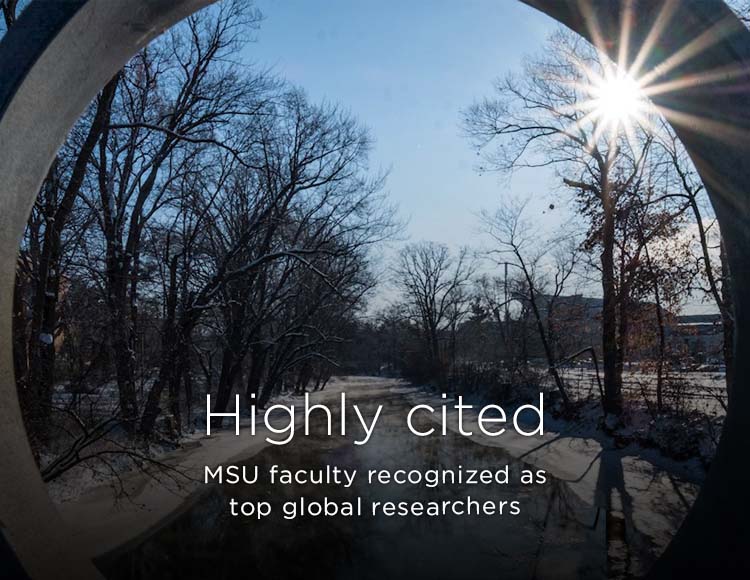Highly cited: MSU faculty recognized as top global researchers