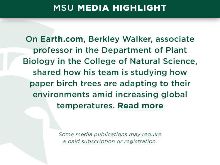 On Earth.com, Berkley Walker, associate professor in the Department of Plant Biology in the College of Natural Science, shared how his team is studying how paper birch trees are adapting to their environments amid increasing global temperatures.