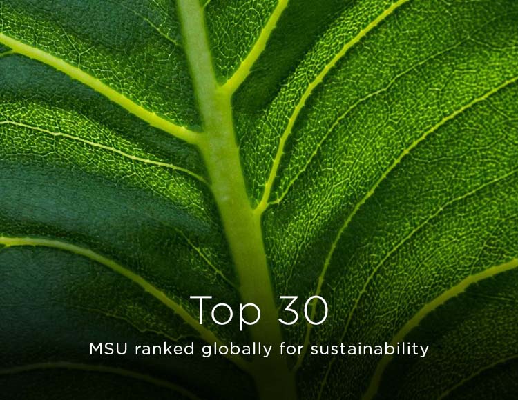 Top 30: MSU ranked globally for sustainability