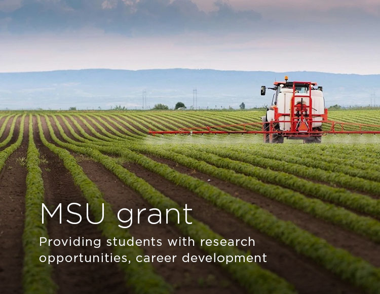 MSU grant: Providing students with research opportunities, career development