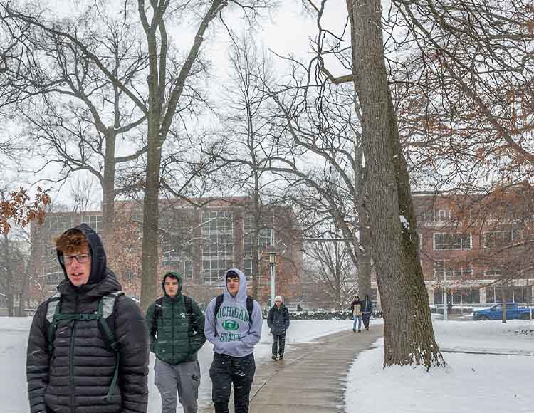 Leafless trees in front of a brick and window multi-story building.