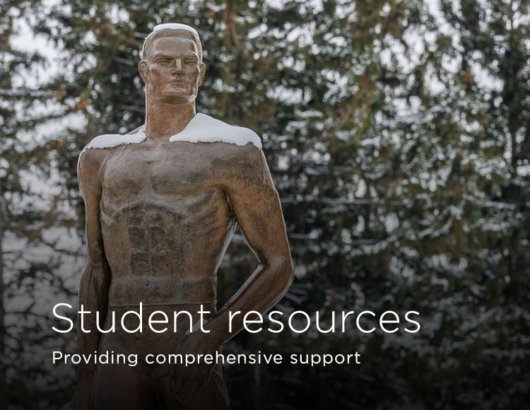 Student resources: Providing comprehensive support